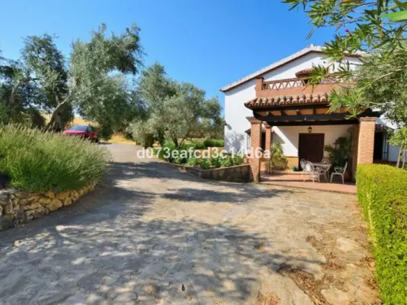 6-bedroom Country House In Arriate, Spain (244 M²)