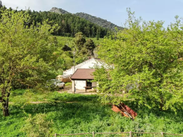 3-bedroom Country House In Gaucín, Spain (467 M²)