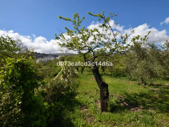 2-bedroom Country House In Cartajima, Spain (66 M²)