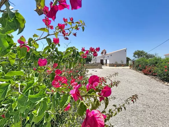 3-bedroom Villa In Canillas De Aceituno, Spain (213 M²)