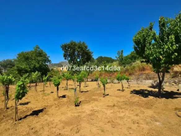 1-bedroom Country House In Ronda, Spain (121 M²)