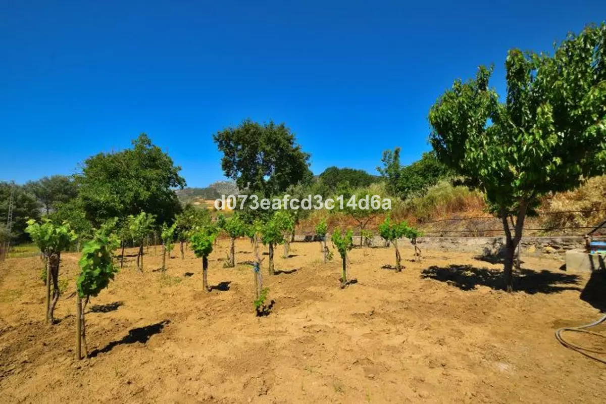1-bedroom Country House In Ronda, Spain (121 M²)