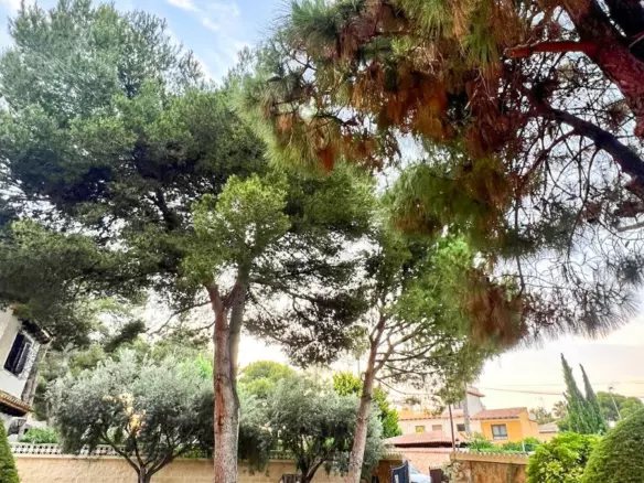 4-bedroom Villa In Orihuela, Spain (200 M²)