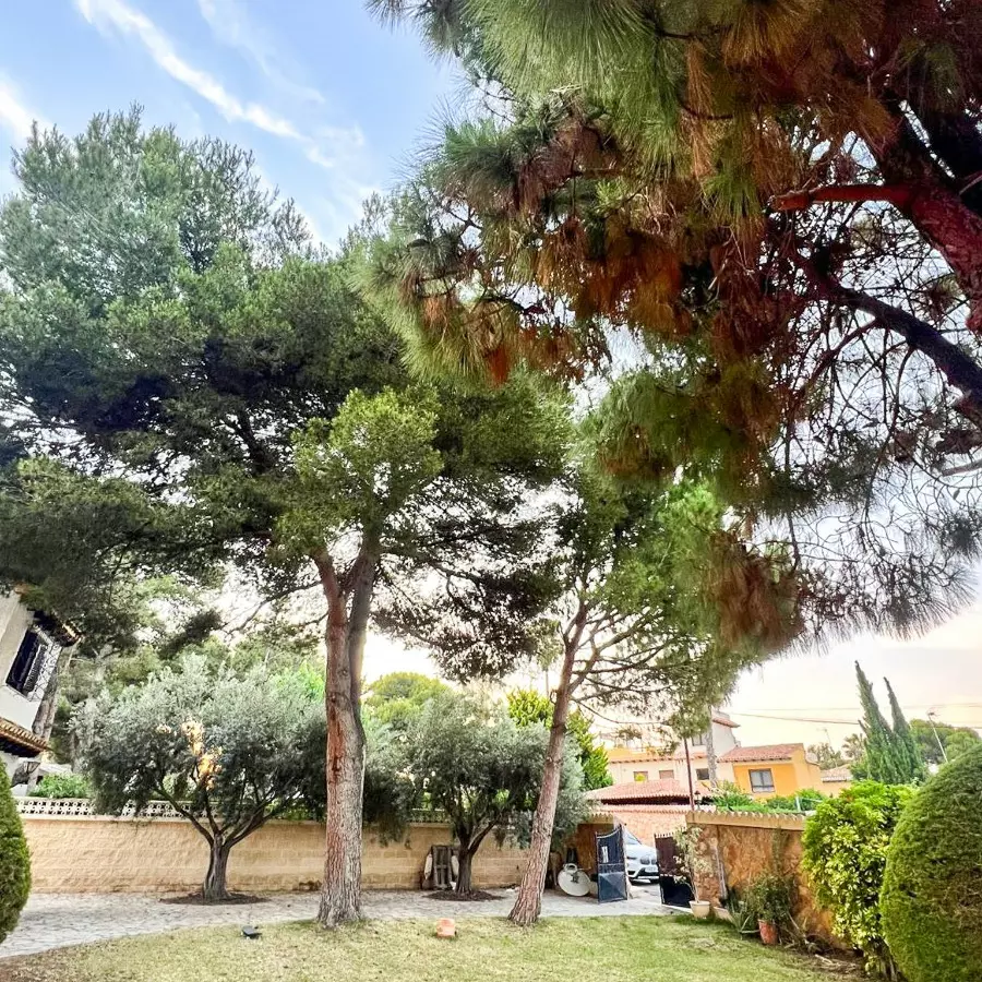 4-bedroom Villa In Orihuela, Spain (200 M²)