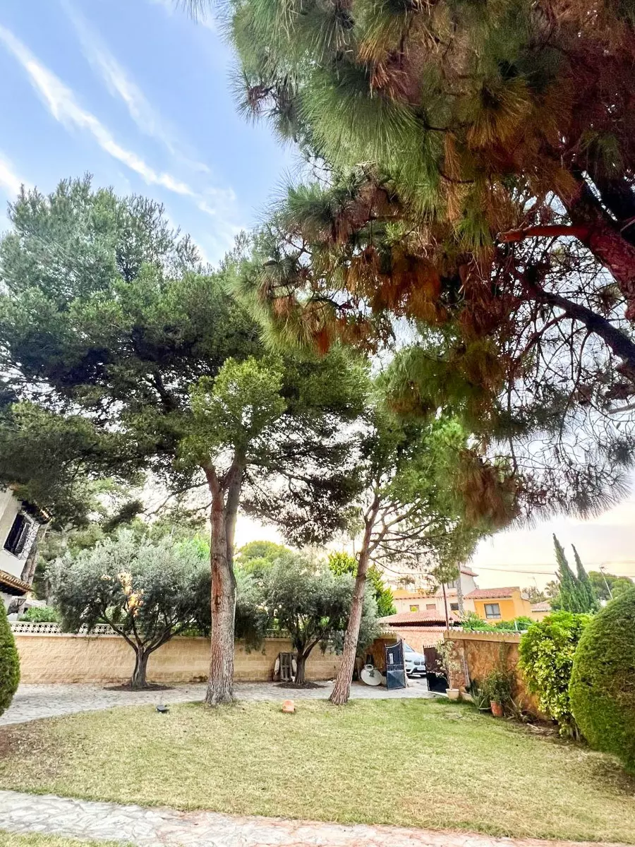 ShowFeedImage-b9db33 4-bedroom Villa In Orihuela, Spain (200 M²)