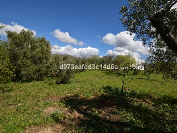 2-bedroom Country House In Cartajima, Spain (66 M²)