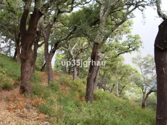 4-bedroom Country House In Jubrique, Spain (330 M²)
