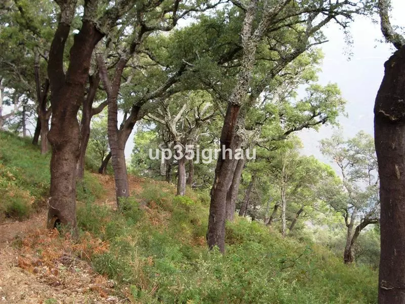 4-bedroom Country House In Jubrique, Spain (330 M²)