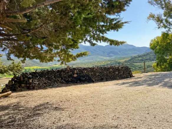 9-bedroom Country House In Villanueva Del Rosario, Spain (738 M²)