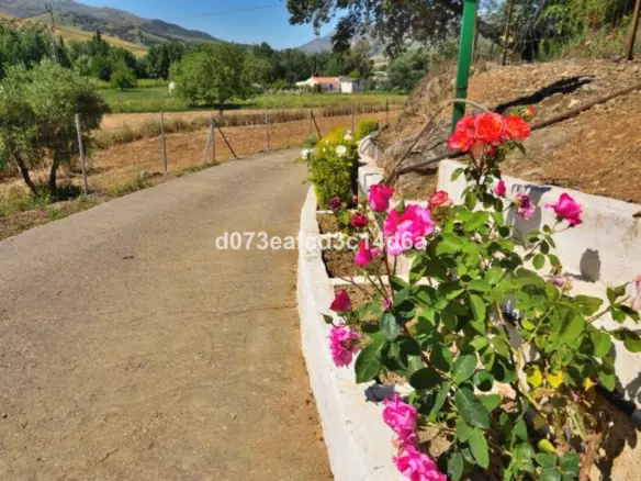 1-bedroom Country House In Ronda, Spain (121 M²)