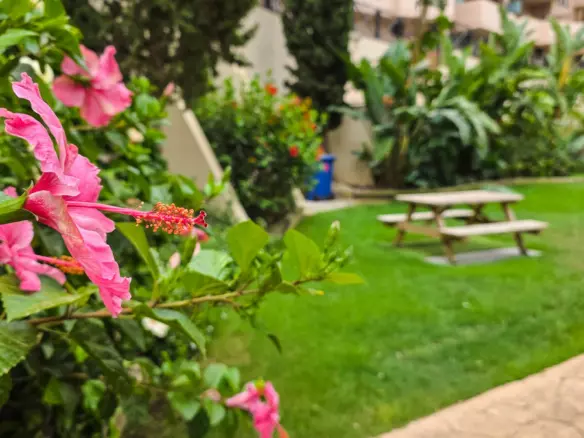 2-bedroom Apartment In Manilva, Spain (93 M²)