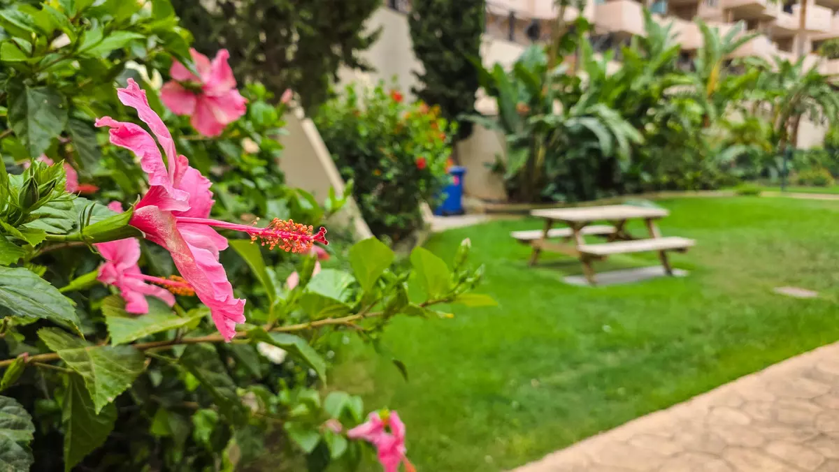 2-bedroom Apartment In Manilva, Spain (93 M²)