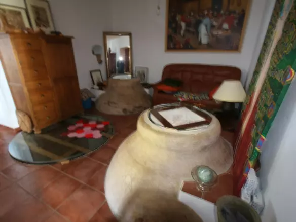 20-bedroom Country House In Almogía, Spain (866 M²)