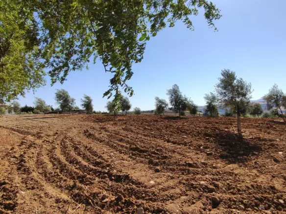 4-bedroom Country House In Ronda, Spain (305 M²)