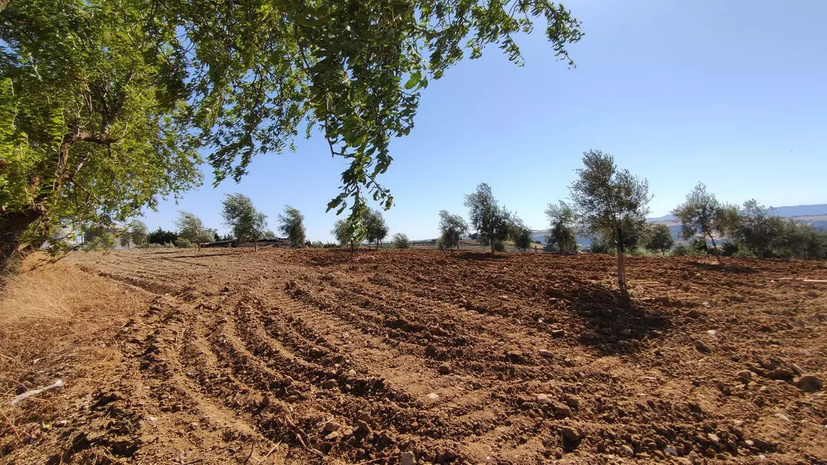 4-bedroom Country House In Ronda, Spain (305 M²)
