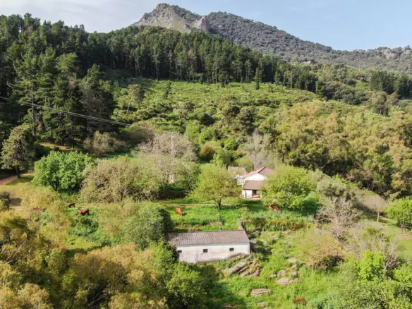 3-bedroom Country House In Gaucín, Spain (467 M²)