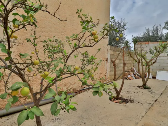 6-bedroom Country House In Alfarnatejo, Spain (528 M²)