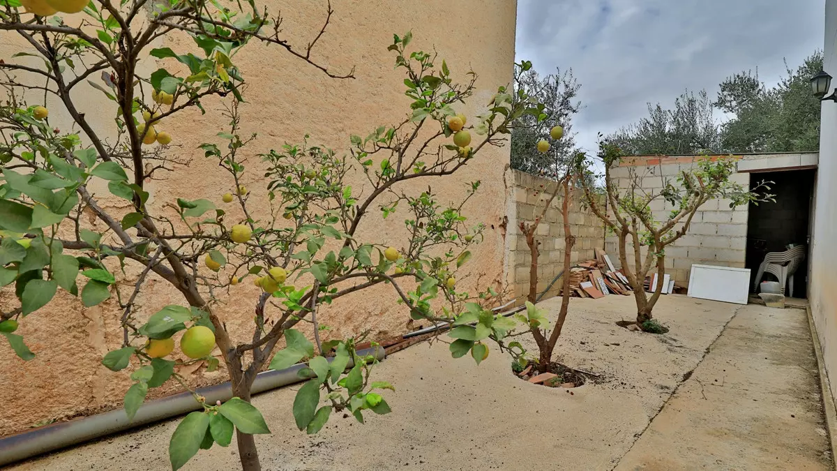 6-bedroom Country House In Alfarnatejo, Spain (528 M²)
