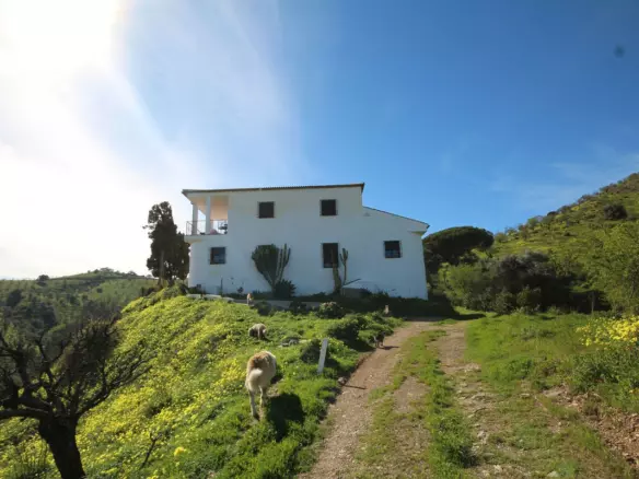 20-bedroom Country House In Almogía, Spain (866 M²)