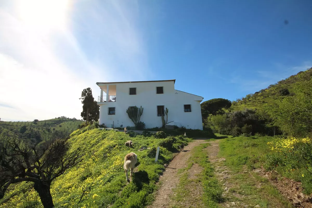 20-bedroom Country House In Almogía, Spain (866 M²)