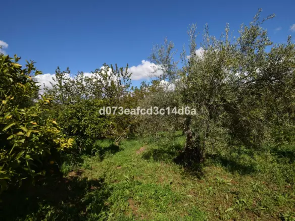 2-bedroom Country House In Cartajima, Spain (66 M²)