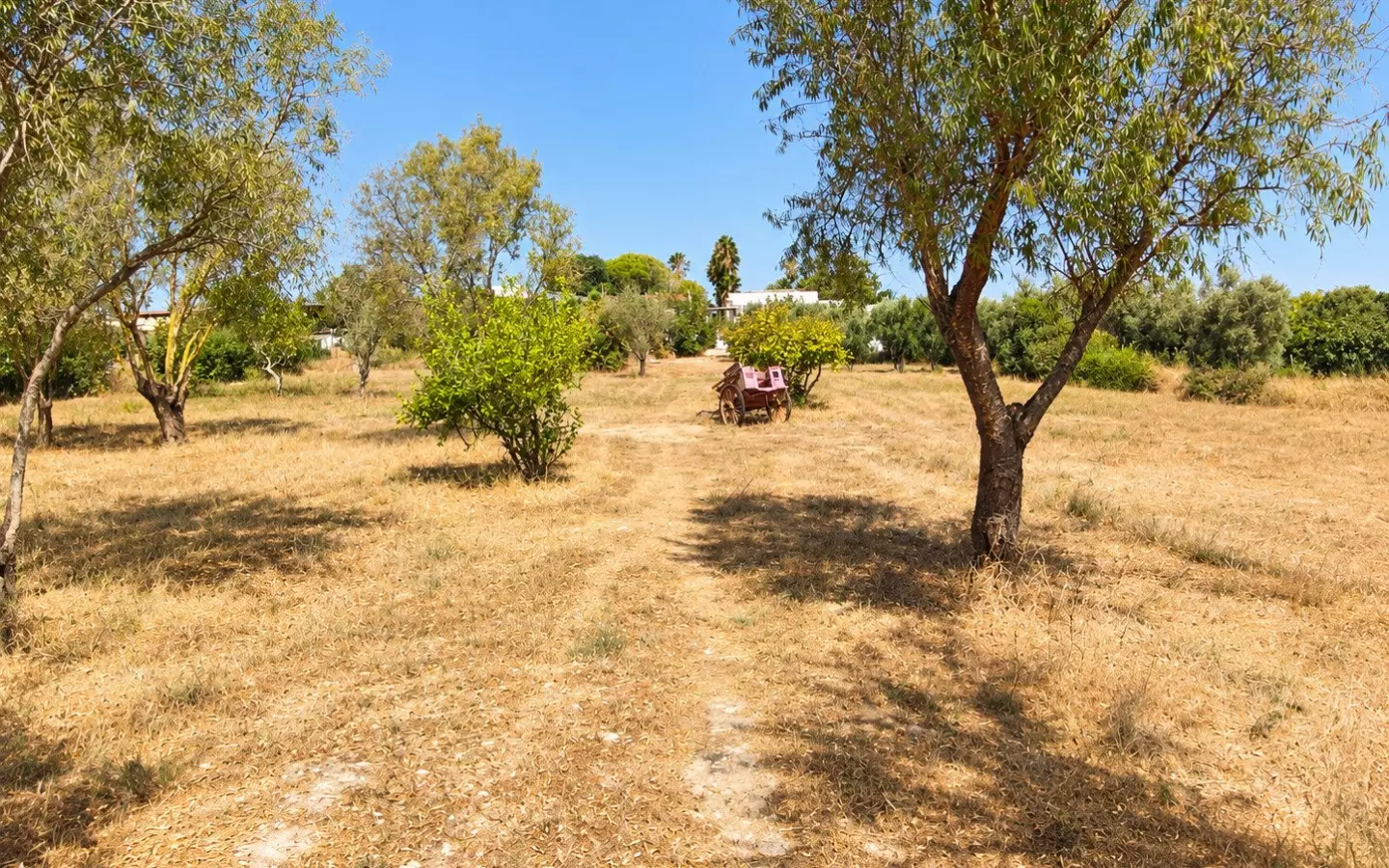 3-bedroom Finca In Chiclana De La Frontera, Spain (138 M²)