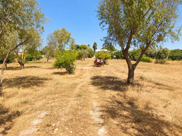 3-bedroom Finca In Chiclana De La Frontera, Spain (138 M²)