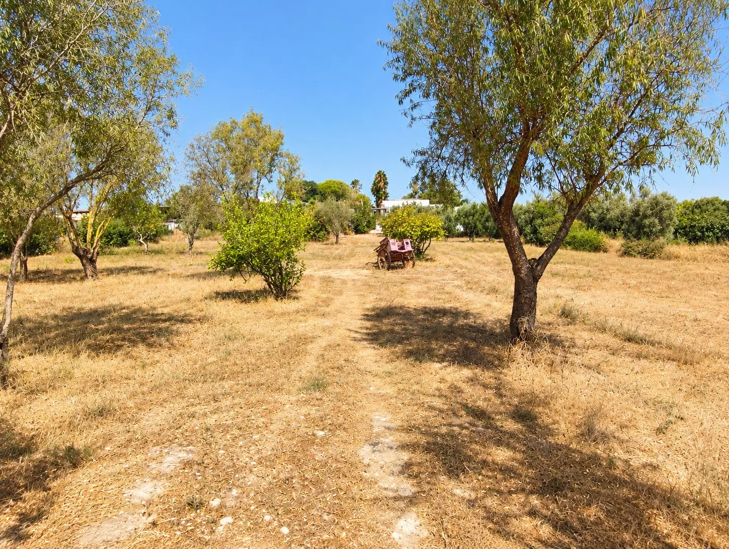 3-bedroom Finca In Chiclana De La Frontera, Spain (138 M²)