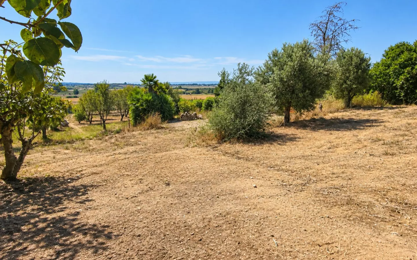 3-bedroom Finca In Chiclana De La Frontera, Spain (138 M²)