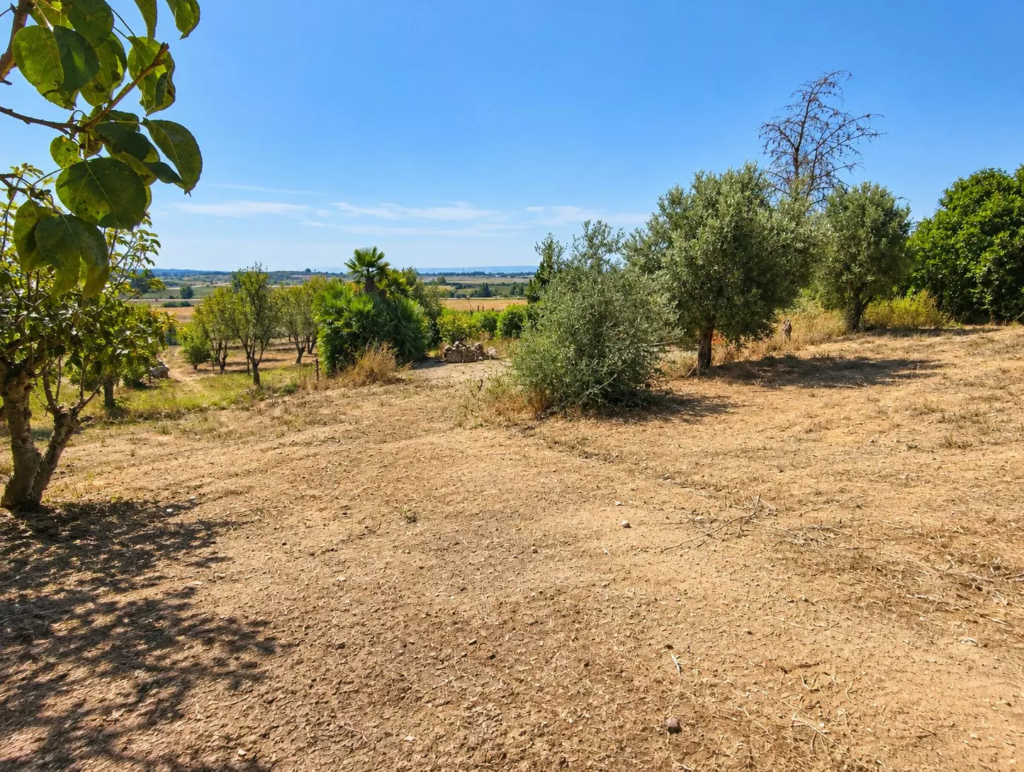 3-bedroom Finca In Chiclana De La Frontera, Spain (138 M²)