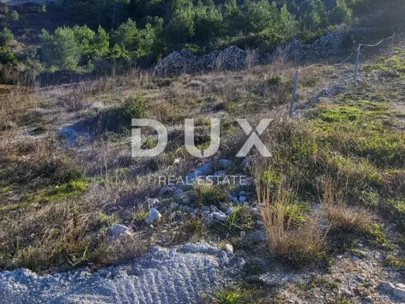 Land In Novigrad, Croatia (725 M²)