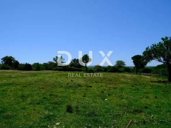 Land In Poljica, Croatia (1.308 M²)