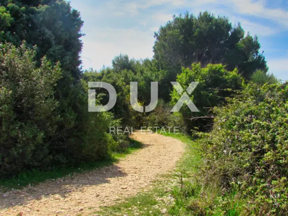 Land In Baderna, Croatia (926 M²)