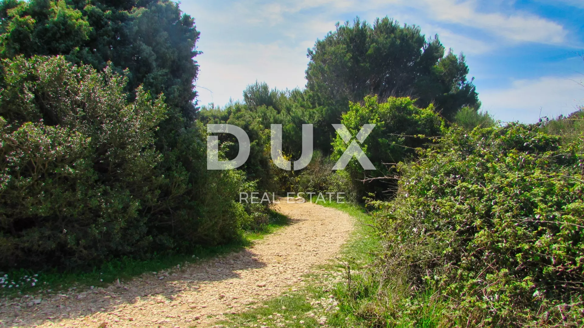 Land In Baderna, Croatia (926 M²)