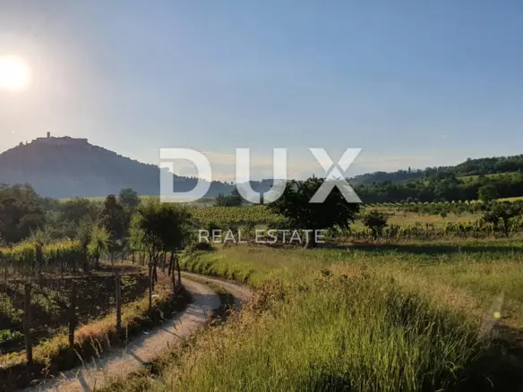 Land In Baderna, Croatia (926 M²)