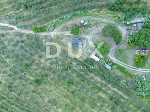 Land In Motovun, Croatia (170.416 M²)