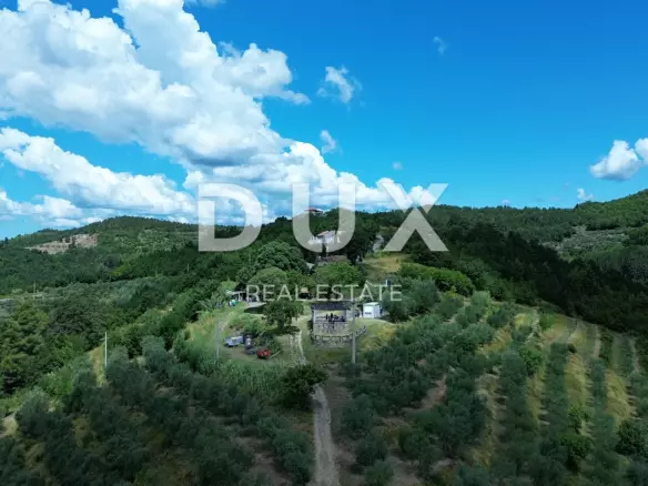 Land In Motovun, Croatia (170.416 M²)