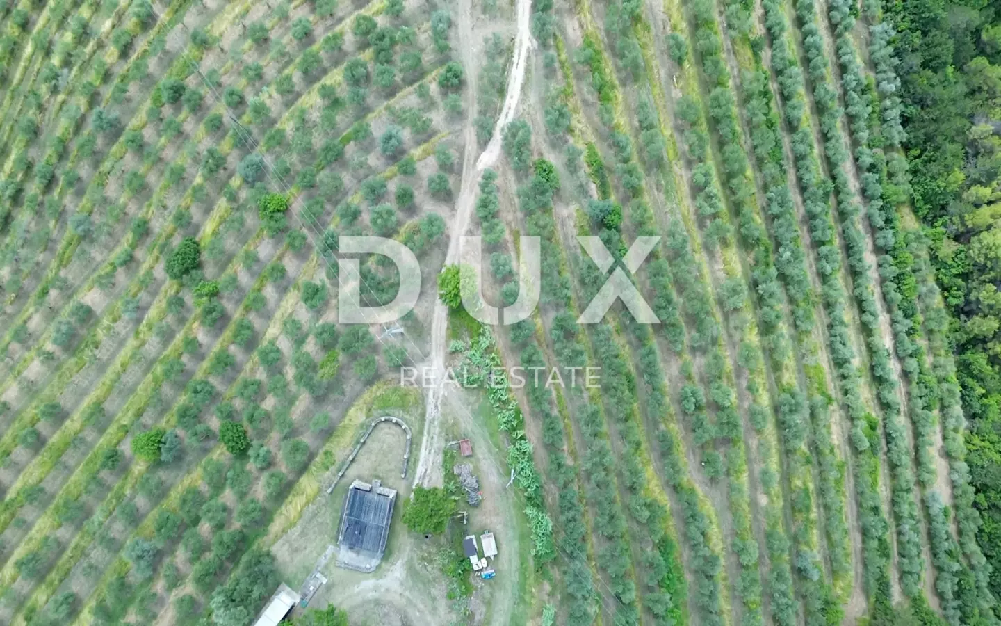Land In Motovun, Croatia (170.416 M²)