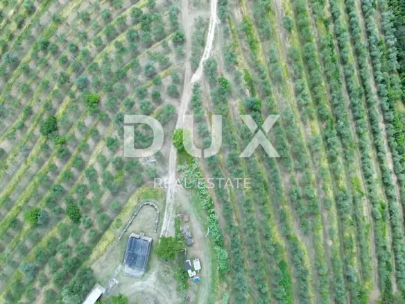 Land In Motovun, Croatia (170.416 M²)