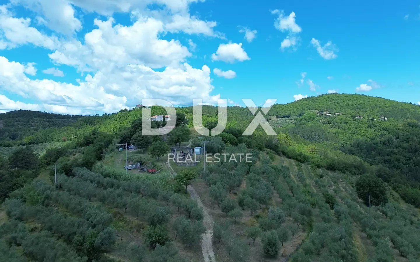 Land In Motovun, Croatia (170.416 M²)