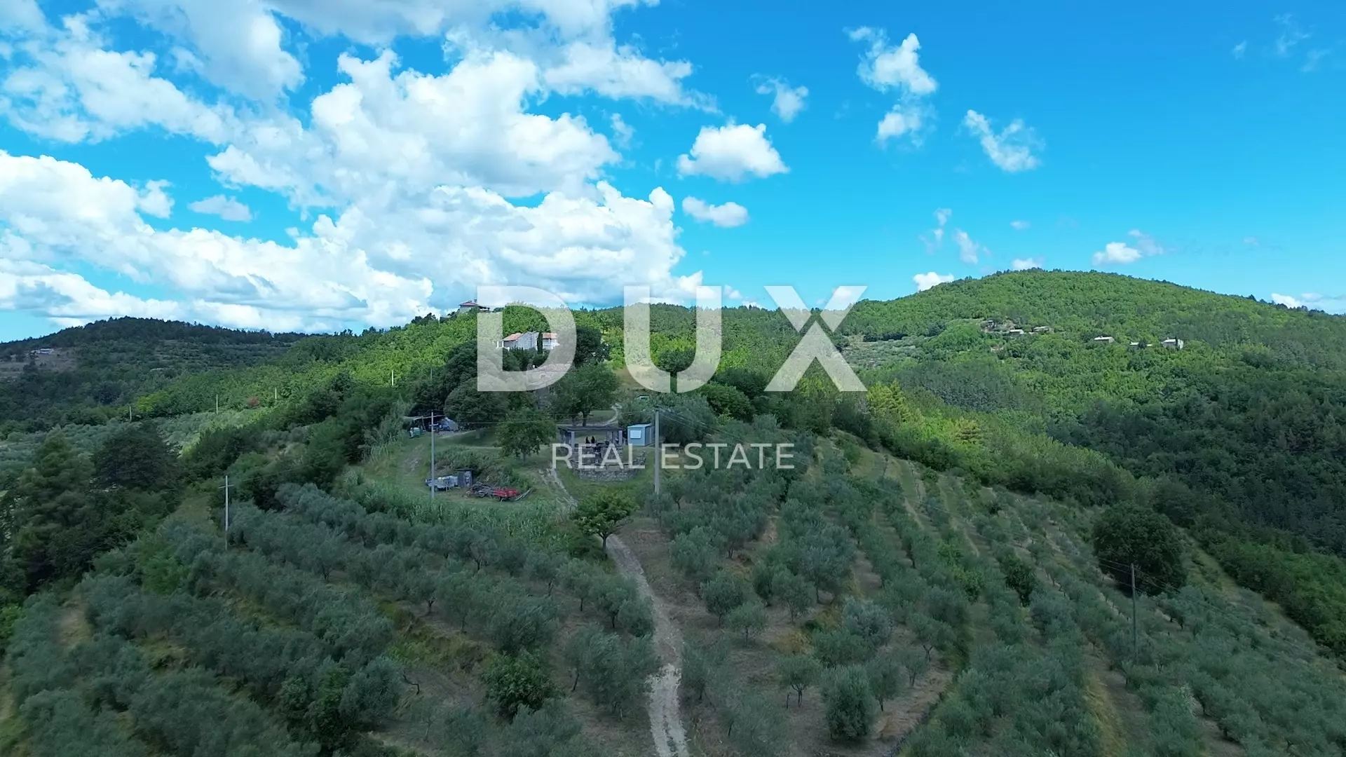 Land In Motovun, Croatia (170.416 M²)
