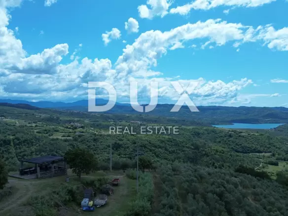 Land In Motovun, Croatia (170.416 M²)