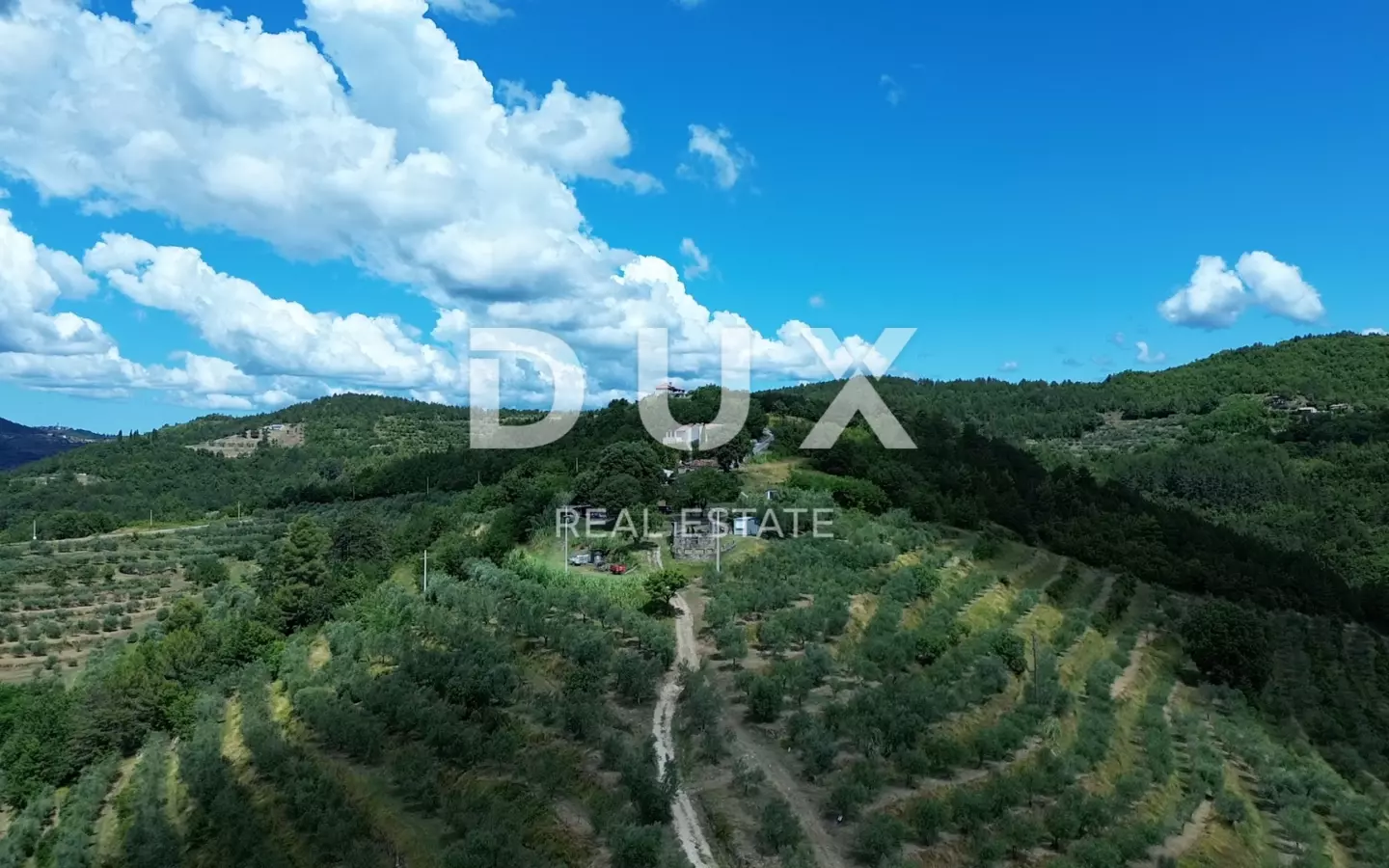 Land In Motovun, Croatia (170.416 M²)