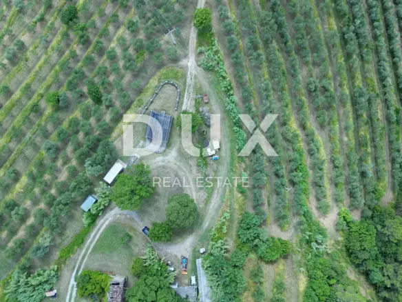 Land In Motovun, Croatia (170.416 M²)