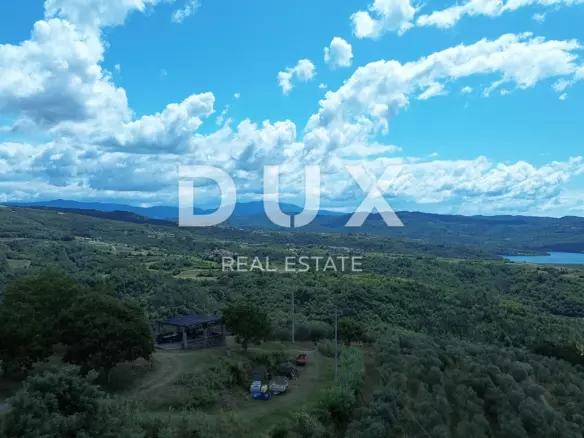 Land In Motovun, Croatia (2.473 M²)