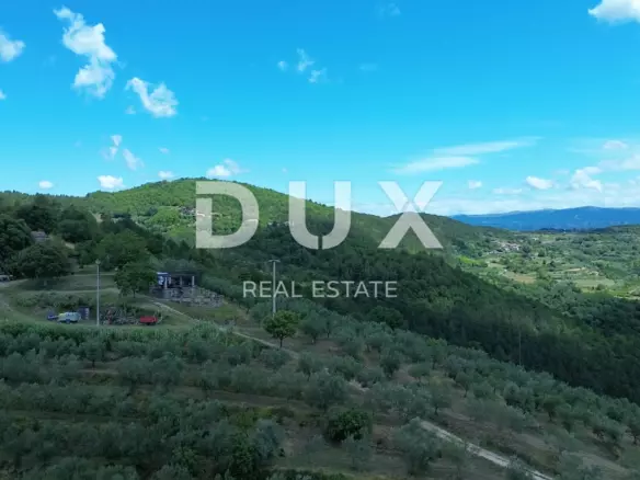 Land In Motovun, Croatia (2.473 M²)