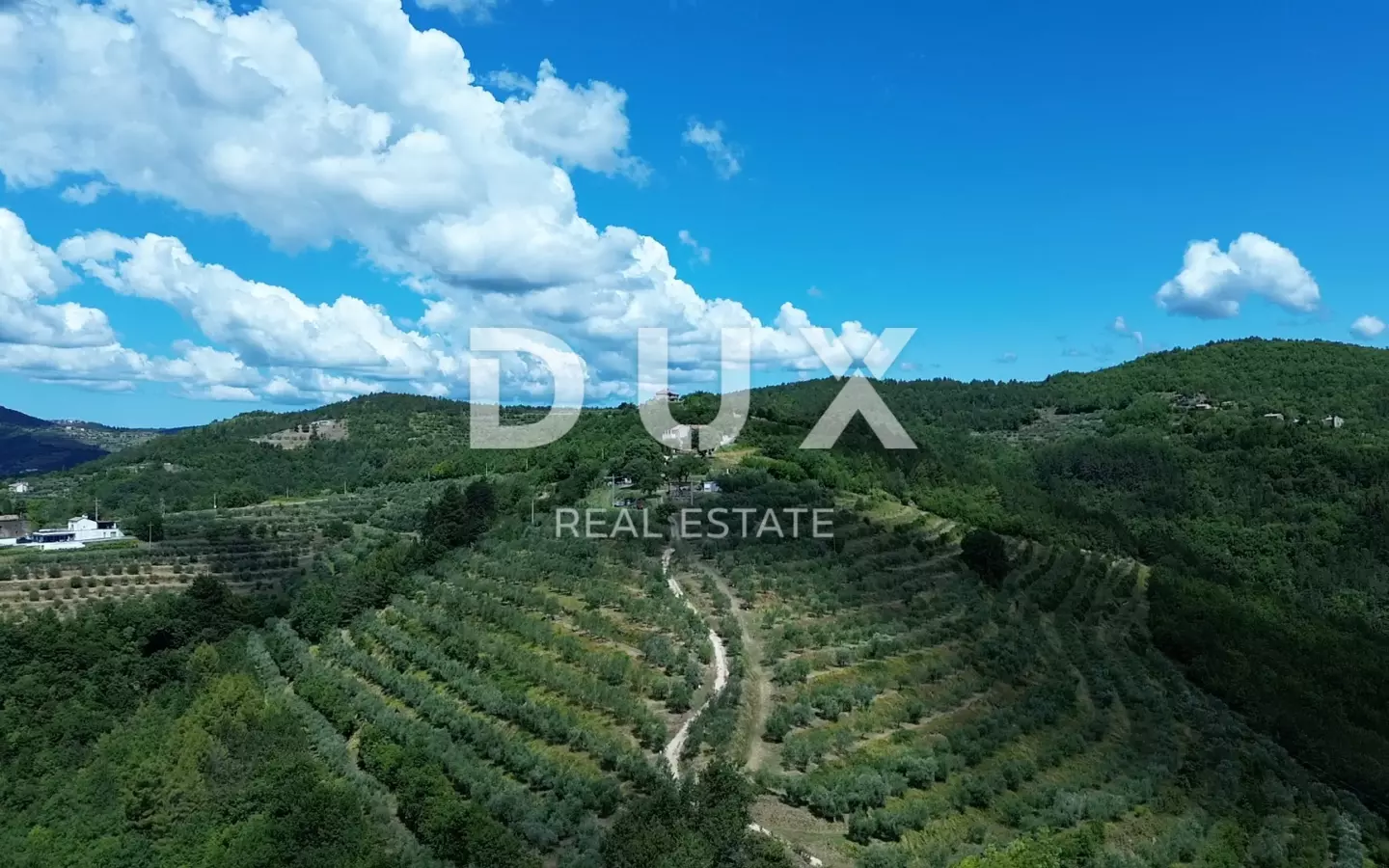 Land In Motovun, Croatia (2.473 M²)