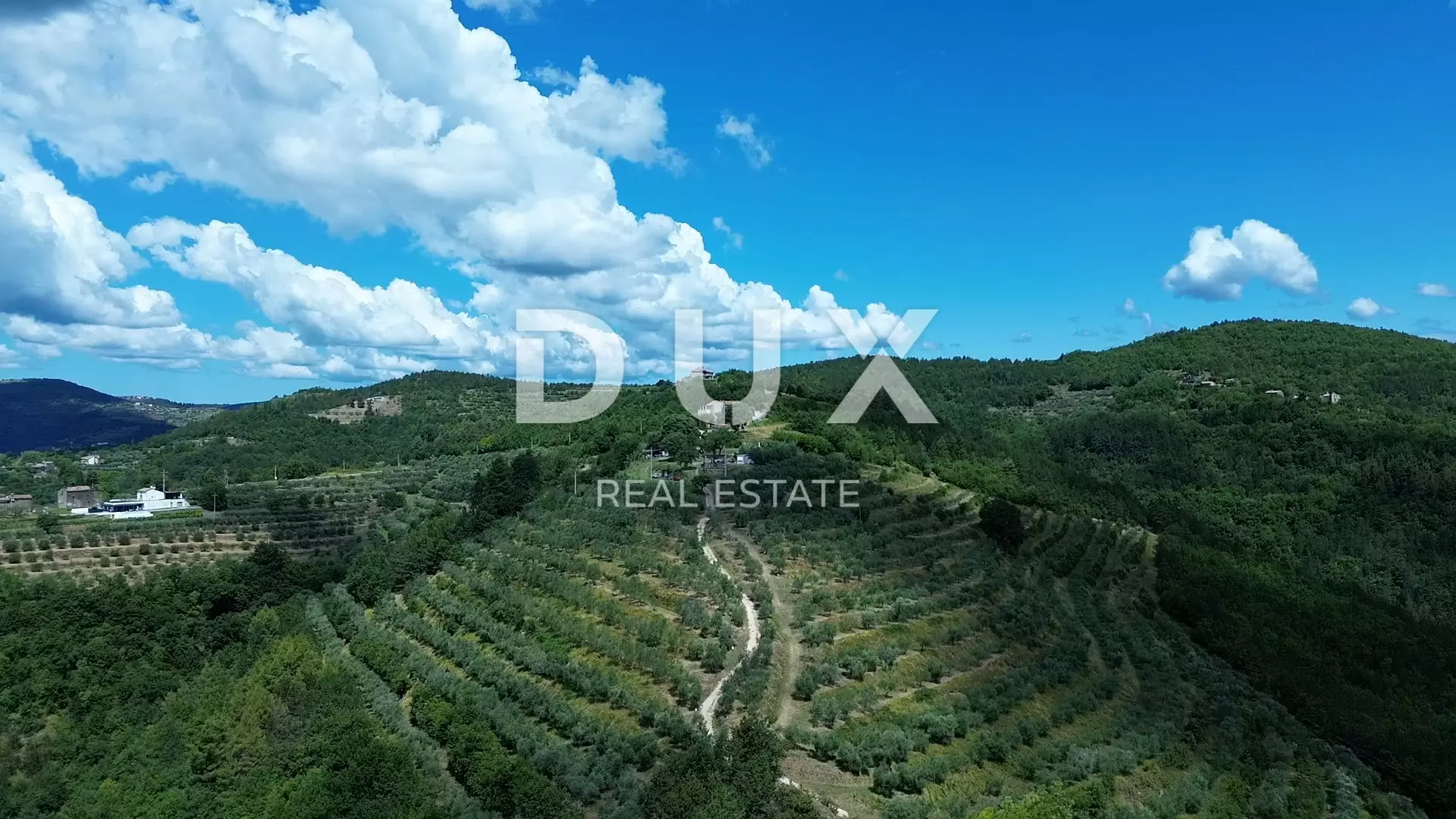 Land In Motovun, Croatia (2.473 M²)