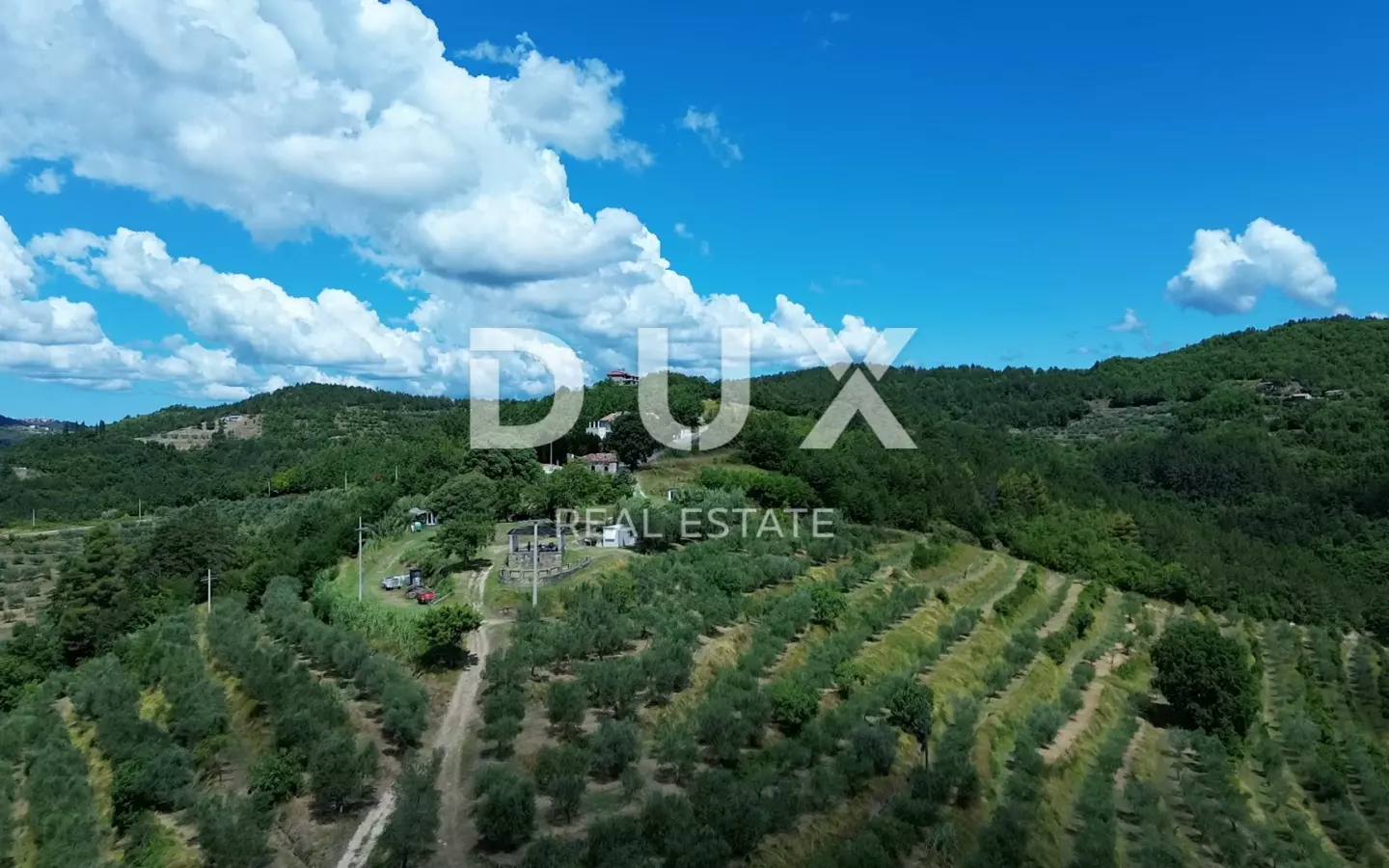 Land In Motovun, Croatia (2.473 M²)