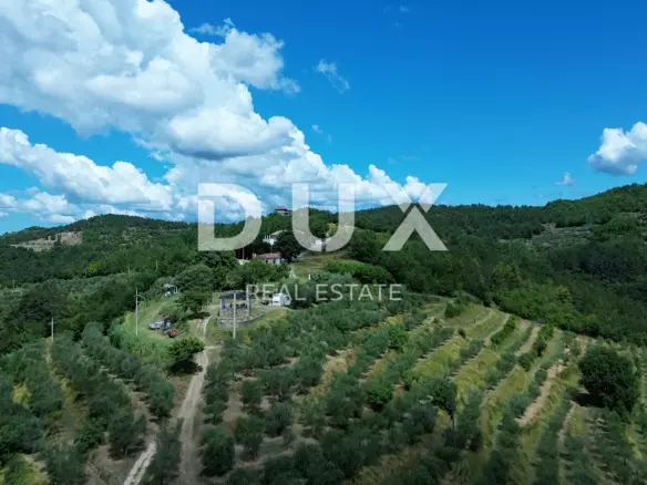Land In Motovun, Croatia (2.473 M²)
